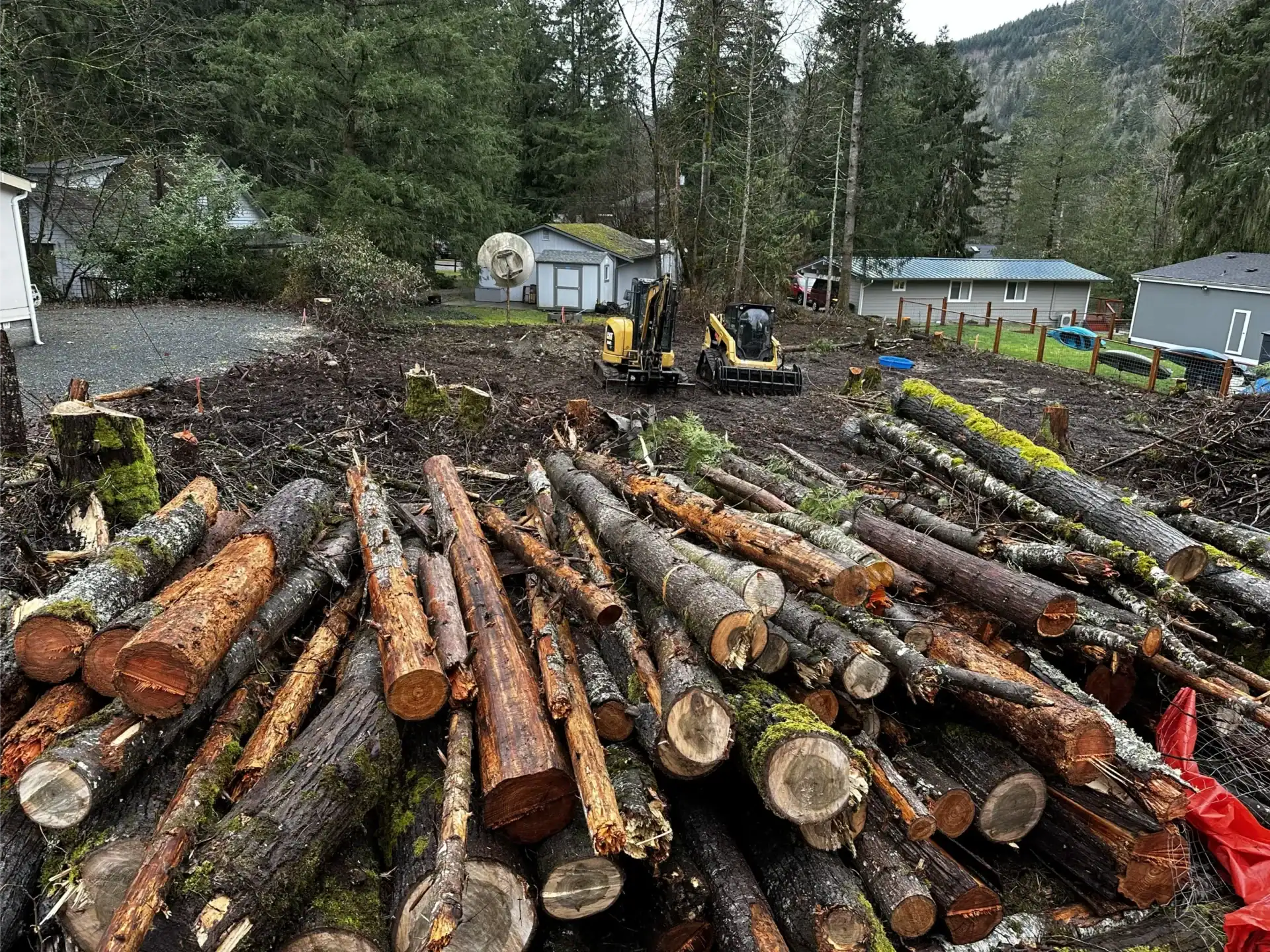 large pile of cut logs lies in the foreground, evidence of recent land clearing, with a small excavator in the background