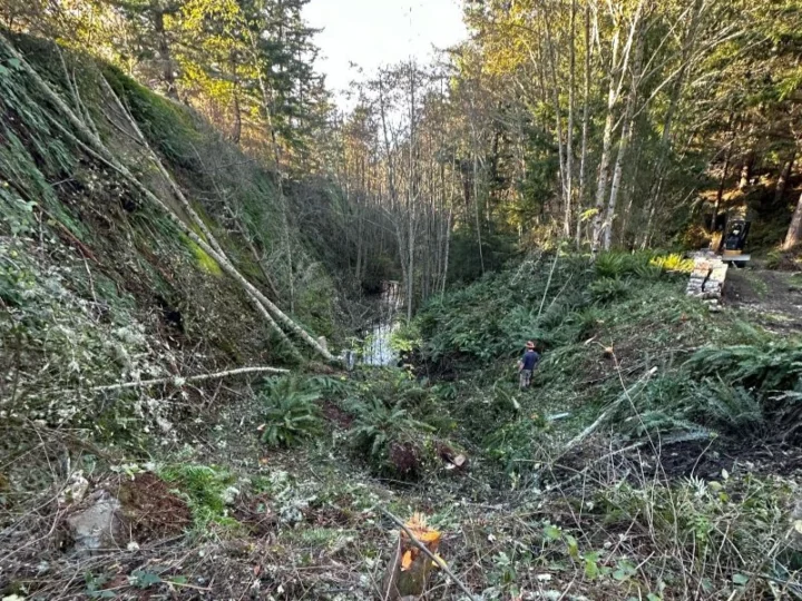 Erosion Control - land cleaning