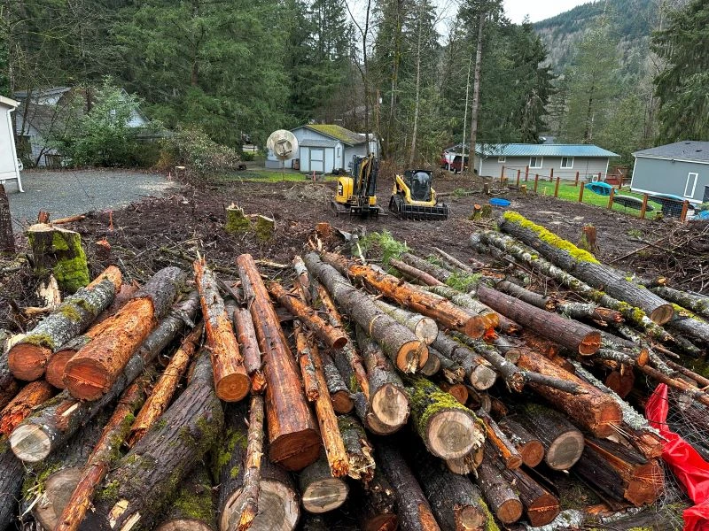 Tree and Brush Removal - land clearing