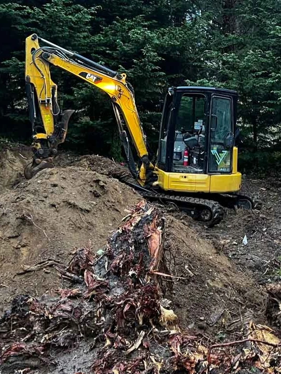 site-prep-clearing-Concrete and Asphalt